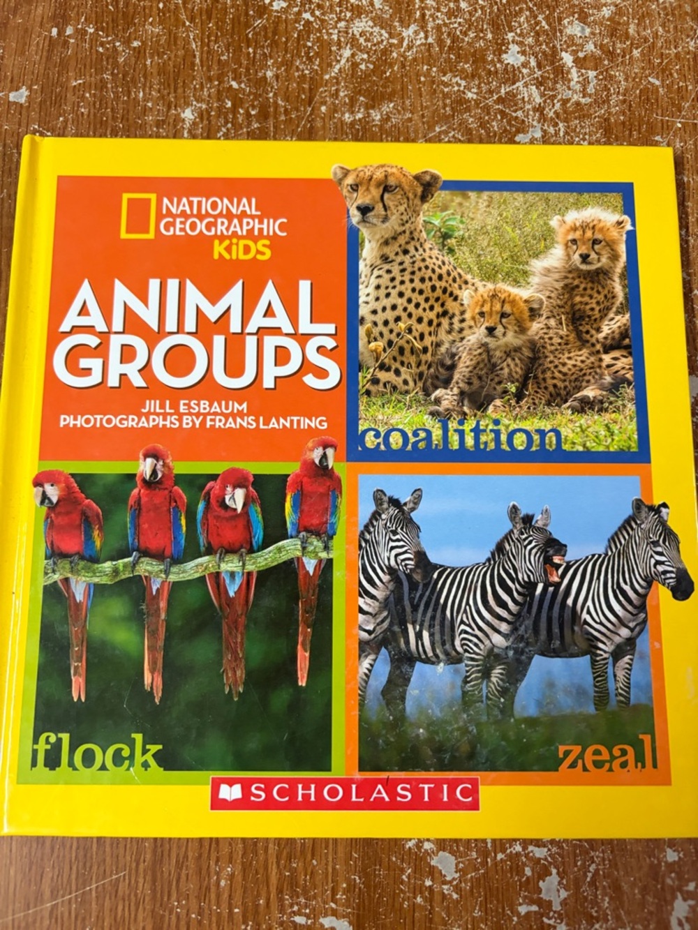 National Geographic and 3d animal books. 11 books - Picture 8 of 12